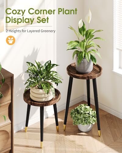 Plant Stand Indoor 2 Pack, Wood Mid Century Indoor Plant Stand, Tall Plant Stands for Flower Pot, Modern Plant Table, Small Side End Table With Raised Design, Walnut, 11.7"x18.8" & 11.7"x13" - Image 6