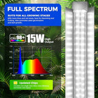 Barrina T8 Grow Lights for Indoor Plants, 5000K Full Spectrum, 1FT, 4 Packs - Image 4