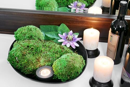 SuperMoss (21881 Royal Pool Moss Preserved – Vibrant Green Decorative Moss for Indoor Plants, Terrariums, Fairy Gardens & Vase Filler, 1,560 cu in, Fresh Green - Image 3