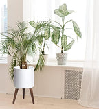D'vine Dev 12 Inch Planter Pot with Wood Stand, White, 88-O-C-1 - Image 2