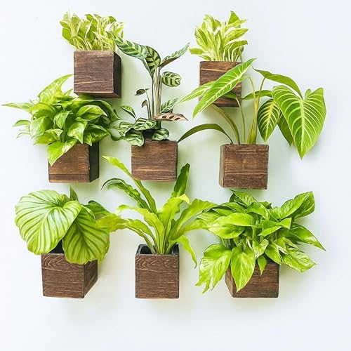 LaLaGreen Wood Planter Boxes for Plants (4x4, 8 Pack) Wooden Wall Planters by L%C3%A1L%C3%A1Green