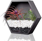 Hanging Hexagon Basket Hanging Wall Planters Metal Vase Retro Air Plant Holder Vintage Flower Pot Iron Geometric Planter Succulent Cactus Container for Wall Decor, Mixed Set of 3 (Black) - Image 6