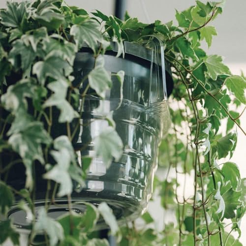 12" 12-Pack Clear Hanging Plant Basket Drip Pans Water Catcher Tray - Image 5