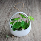 2 PCS Ceramic Hanging Planter Basket with Drainage Hole,Indoor Outdoor Modern Plant Holder Flower Pot,Decorative Flower Display Vase Succulent Pots - Image 4
