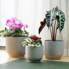 4 + 5 + 6 Inch Ceramic Pots for Indoor Plants, Succulents Plant Pots, Orchid Flower Pot with Drainage Hole, Modern Clay Stoneware Planters, Set of 3 (Reactive Glaze Grey Blue, 4 + 5 + 6 Inch） - Image 4