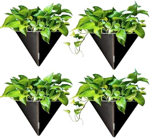 LaLaGreen Wall Planter for Indoor (12in, 4 Pack) Large Self Watering Plants by L%C3%A1L%C3%A1Green