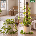 Wooden Extendable Plant Trellis for Potted Plants Indoor, 2 Sets - Image 5