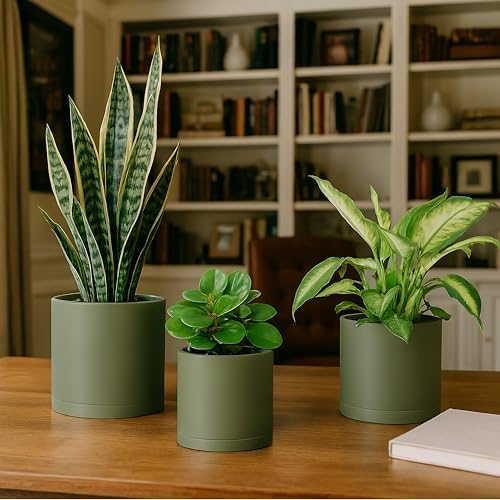D'vine Dev 3-Pack Plastic Pots & Saucers, 6/6.5/8 in, Olive, 74-V-I-3 - Image 5