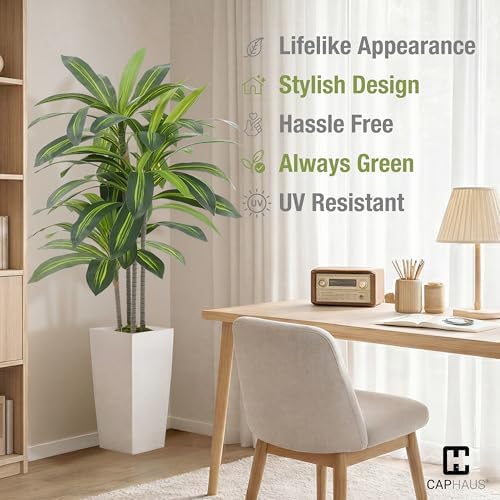 CAPHAUS 5FT Artificial Dracaena Tree 60 Inch – Tall Fake Floor Plant in White Planter with Moss for Living Room Office Home Decor – Low Maintenance Large Indoor Faux Tree - Image 6