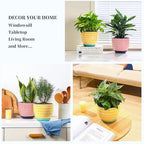 Selamica Ceramica Plant Pots, 6.5 Inch Flower Pots Set of 2 with Drainage Holes & Saucer, Planters for Indoor Plants, Home Decor, Assorted Colors - Image 5