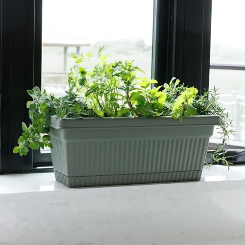 Bloem Amelia 18" Plastic Window Box Planter with Saucer Tray, Basil, 2-Pack - Image 5
