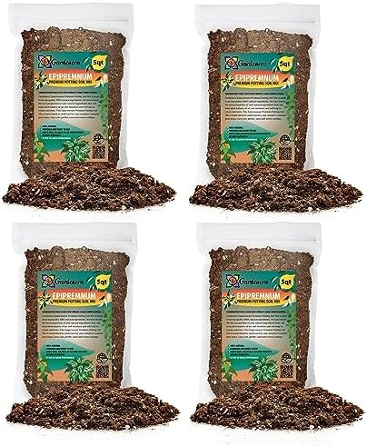 Gardenera Epipremnum Potting Mix - Unlock Robust Growth and Gorgeous Foliage with Our High-Performance Formula - 20 Quart by Gardenera
