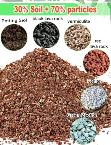 TOYPOPOR Succulent Soil, Cactus Potting Mix 12.5 Pounds/10QTS, High Drainage, Pre-Mixed Ready to Use for All Succulent Varieties, Indoor Plants, Bonsai, Terrarium, Houseplant, 30% Particles 70% Soil - Image 3