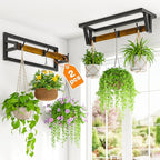LASZOLA Plant Hanger Holder Shelf Indoor Window Wall Mount, 2 Pack Brown by LASZOLA
