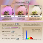 PRAISUN 51 Inch Plant Stand with Grow Lights, 8 Tiered Indoor Plant Shelf - Image 3