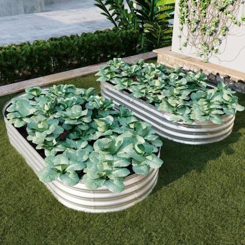 Raised Garden Beds, 2-Pack 6 x 3 x 1 ft Galvanized Metal Planter Boxes and Vegetable Beds for Outdoor Backyard Gardening, Flowers, Herbs, and Vegetables by Unknown