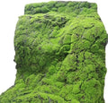 Simulation Artificial Moss Mat 39x39in DIY Artificial Moss Mat by GHTCLDF