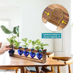 Plant Terrarium Hanging Propagation Stations Gift for Women - Image 2