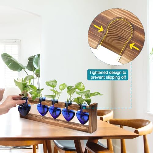 Plant Terrarium Hanging Propagation Stations Gift for Women - Image 2