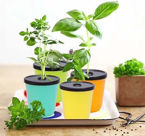 Kratky Method Hydroponic Planter Kit, 8 Hydroponic Planter Plus 24 Growing Sponges for Herbs, Hydroponic Mini Buckets for Windowsill Herb Garden, Hydroponic Growing System for Vegetables - Image 2