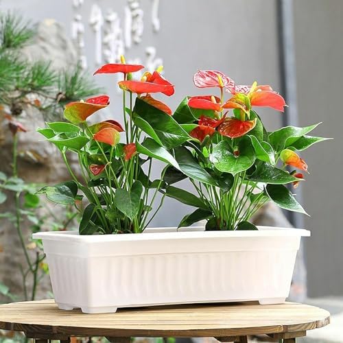 Window Box Planter for Outdoor & Indoor, Rectangular Flower Pot with Drainage Hole and Tray, Decorative Garden Planter Box for Windowsill Balcony Railing Garden and Patio (Yellow, 3pc) - Image 3