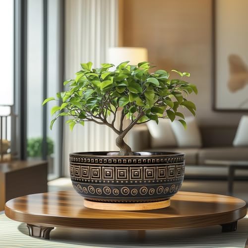 G EPGardening 8 Inch Ceramic Succulent Planter Pots for Indoor Plants Round Shallow Bonsai Planter Pot with Drainage and Bamboo Saucer, Black - Image 2