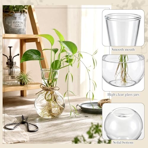 10 Pack Glass Plant Propagation Stations, Plant Terrarium Bulb Glass Propagation Vases with Hemp Rope, Clear Hydroponics Jars Gardening Gifts for Home Office Desk Decoration - Image 3