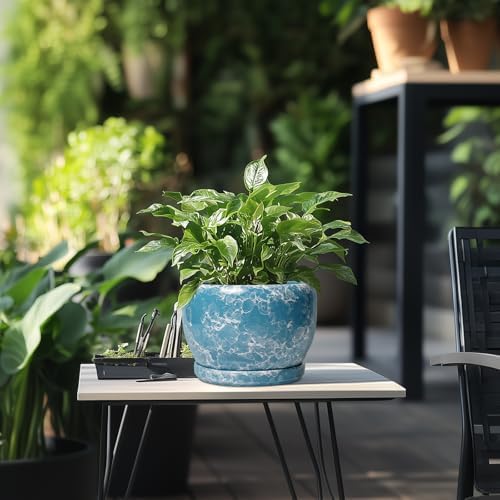 SQOWL Ceramic Pots for Plants - 8 Inch Ceramic Planter for Indoor Outdoor, Decorative Flower Pot with Drainage Hole and Saucer, Round Planter, Home Living Room Bathroom Decor, Plant Lover Gifts, Blue - Image 5