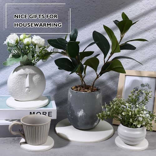 12Pack Diatomaceous Earth Coaster 4/6/8inch Diatomite Plant Saucer Stone Plant Sourcer Instant Dry Water Absorbent Diatomite Tray Water Absorbent Plant Coasters Absorbent Pad Diatomaceous Earth Mat - Image 6