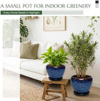 Ceramic Planter with Saucer for Indoor Outdoor Plants (Blue, 8.7 Inch) - Image 2