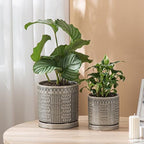Indoor-Outdoor Ceramic Plant Pots: 6 Inch Flower Pots with Drainage Hole & Saucer - Decorative Ceramic Pots for Plants Herbs Succulents - Home Garden Patio Lawn Use - Image 5