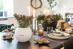 Lechuza Puro Color 20 White, Self-Watering Small Indoor Planter, D7.9 H6.3 in - Image 6