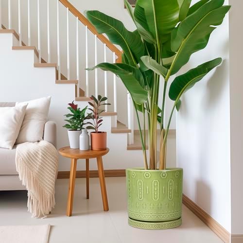 Eightpot Ceramic Planter - 12 Inch Pots for Plants Indoor Outdoor, Round Large Flower Pots with Drainage Hole and Saucer, Decorative Boho Planter, Home Office Decor, Plant Lover Gifts, Green - Image 6