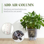 Wonderjune Self Watering Planter, 5.91'', Clear, 9 Pcs - Image 4