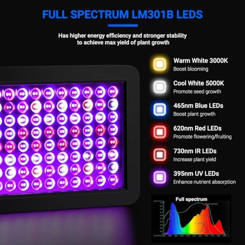 Upgraded BW1000 LED Grow Lights Double Chips Full Spectrum with 10ft Cable for Greenhouse and Indoor Plant Veg and Flower Growing [Black] - Image 3