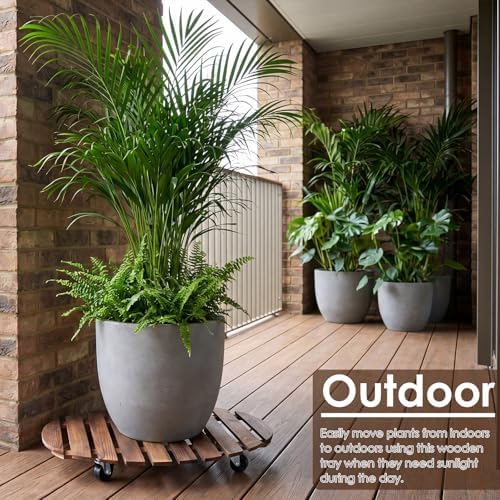 Novabright 1 Wooden Plant Caddy with Wheels, 20 Inch Rolling Stand - Image 5