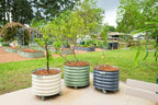Rolling Metal Citrus Tree Planter Pot, 21″ Round Planter Box for Porch Patio & Backyard, 20 Gallon Large Planter Pot with Wheels for Growing Olive Trees Tomatoes Vegetables and Flowers, Modern Gray - Image 2