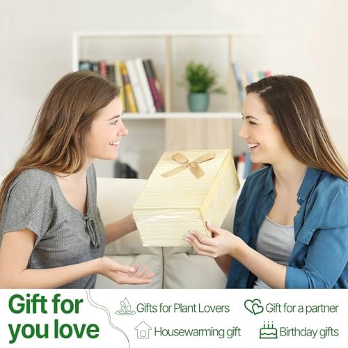 Plant Propagation Stations Heart Plant Terrarium Kit - Image 6
