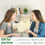 Plant Propagation Stations Heart Plant Terrarium Kit - Image 6