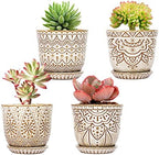 Gepege Ceramic Succulent Pots, 4 Inch Small Plant Pots with Drainage by Gepege