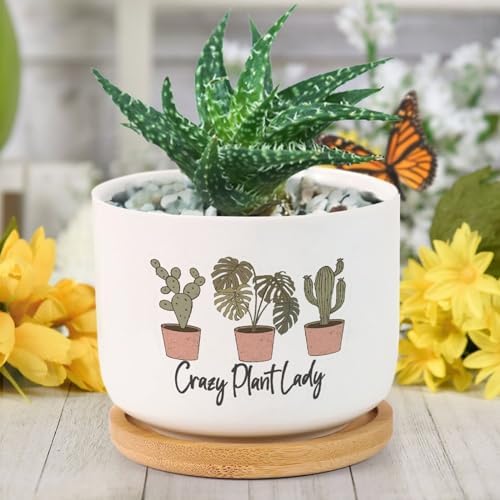 DreamAutumn Pack of 3 Crazy Plant Lady Planter Ceramic Round Plant Pots with Drainage Holes and Bamboo Tray Planting Small Flower Pots for Home Windowsill Desk Garden Indoor Outdoor Use by DreamAutumn