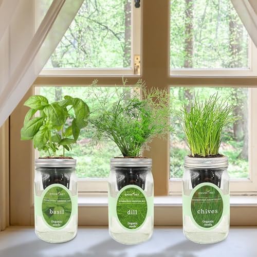 Hydroponic Herb Growing Kit Set, Self-Watering Mason Jar Herb Garden Starter Kit Indoor, Windowsill Herbs Garden, Grow Your Own Herbs from Organic Seeds (Basil, Dill, Chives) - Image 2