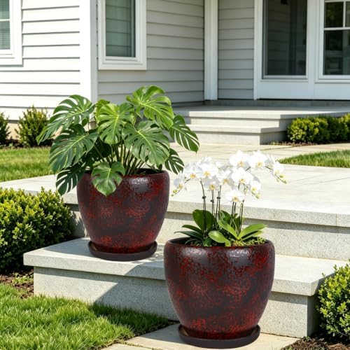 Ceramic Plant Pots With Saucer & Drainage Hole, 8 inch Indoor Flower Pots - Image 7