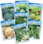 Jiffy Plant Germination Kit - Cold Hardy Vegetable - 72 Cell, 2 Pack - Image 2