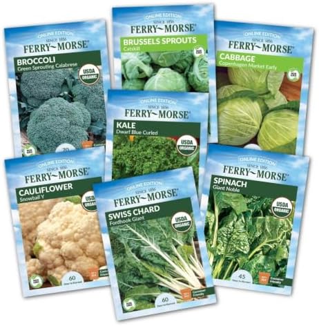Jiffy Plant Germination Kit - Cold Hardy Vegetable - 72 Cell, 2 Pack - Image 2