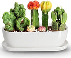 E-liu14 Inch Oval Ceramic Planter Pot with Drainage Hole Saucers by Creatingwarmandrefinedlifestylekitchenandhomeessentials