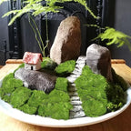 FAICOIA Preserved Moss Bulk Green Natural Preserved Pole Moss Pillow for Potted Plants 2.5 sq.ft Green Moss Balls for Bowls Wall Art Terrariums Crafts Fairy Gardens Easter Table Decor - Image 4