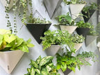 LaLaGreen Bundle- 10 Pack, 4 Inch Black Metal Pot + 4 Pack, 12 Inch Self Watering Pot Geometric Hanging Vertical Wall Mounted Flower Vase Balcony Porch Home Decor Succulent Herbs Plant Holder Garden - Image 7