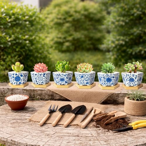 Succulent Pots, 3.7" Small Plant Pots with Drainage Tray, 6 Pack Small Planters for Indoor Plants, Ceramic Flower Pots for Cactus, Mini Succulents, Home Decor, Vintage Blue - Image 5