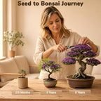 Bonsai Tree Kit - Bonsai Starter Kit with 5 Unique Japanese Bonsai Seeds - Image 3